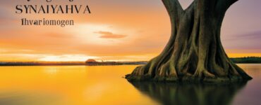 vinyasa yoga